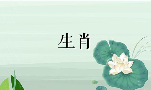 属龙的人摆放什么招财摆件好