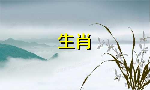 生肖羊对待感情的态度 生肖羊:千万要远离这个人,他将会是你一辈子的克星!