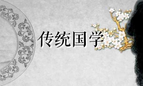 属猪人2024年11月运势及运程
