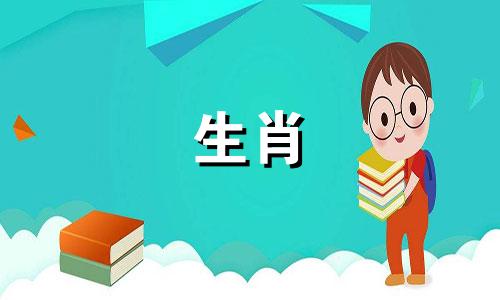 2025年属蛇人五行属什么命