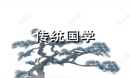 属猪人2024年8月运势及运程