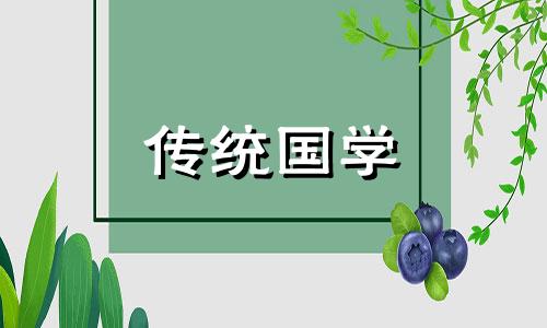 属猪人2024年9月运势完整版