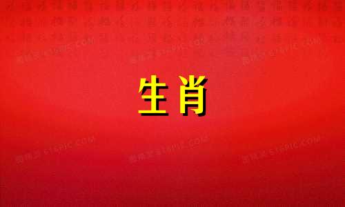 1990属马女佩戴什么最佳饰品