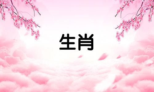 不同出生年的属马人命运分析图