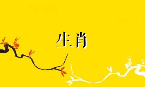 1982年属狗人一般会有几个孩子呢