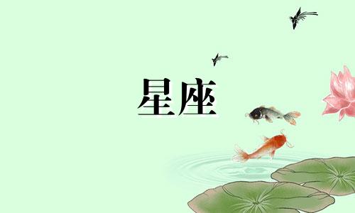 白羊座2022年运势详解全年运程完整版