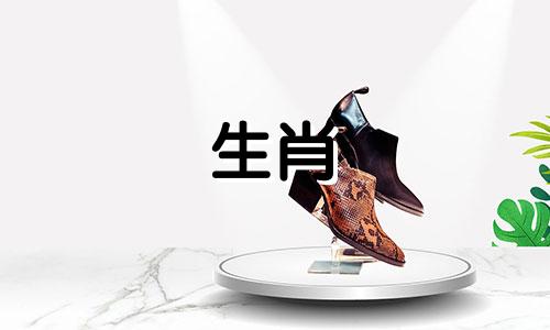 2025年开始走大运的生肖 属兔最难熬的是哪一年