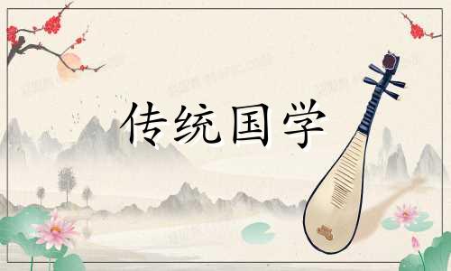详解地支六合所反应的象义