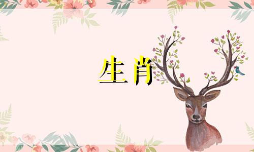 属龙不能和什么生肖合作共事呢