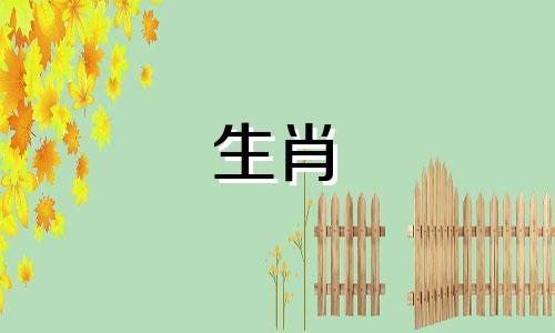 生肖属狗2025年注意事项及吉凶如何