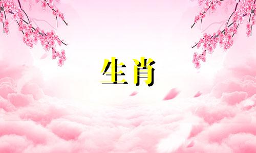 龙的心上人是什么生肖呢 属龙人正缘出现年龄