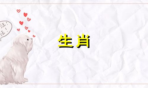 属龙的多大年龄能有财运 属龙多大呢