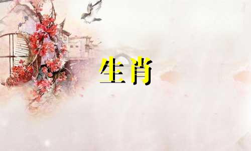 属鸡不能和什么生肖合作共事呢