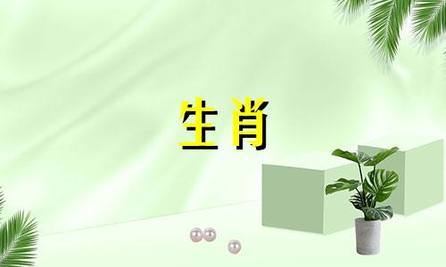 属龙女一见钟情的生肖男是什么