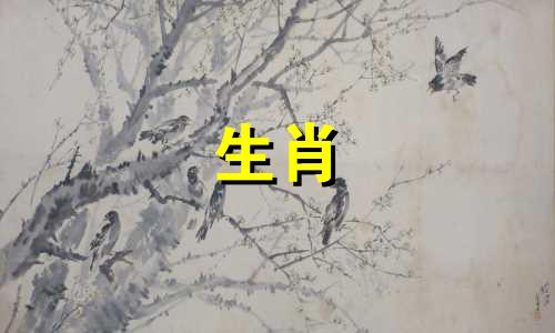 属马哪一年结婚最好呢 1990属马二婚会在哪一年
