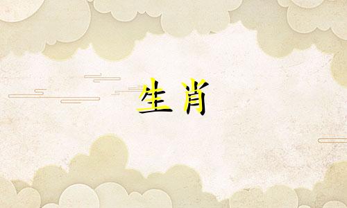 属虎不能和什么生肖合作共事呢