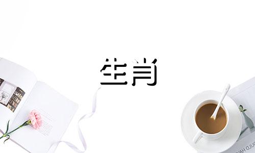 属兔人适合什么行业做生意