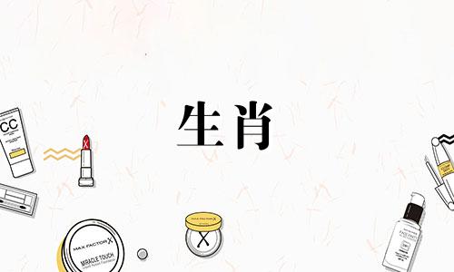 1987年属兔的在2025年怎么样