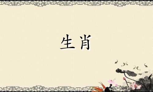 属羊哪一年结婚最好呢 属兔什么时候结婚比较好