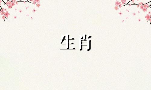 属鼠人办公室座位最佳位置