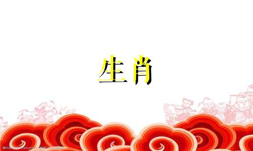 属兔女一见钟情的生肖男2023年