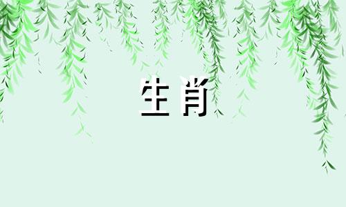 属牛对哪个属相一见钟情呢女生