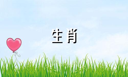 属猪的人怎样提升财运呢 属猪增加财运事业健康运小妙招