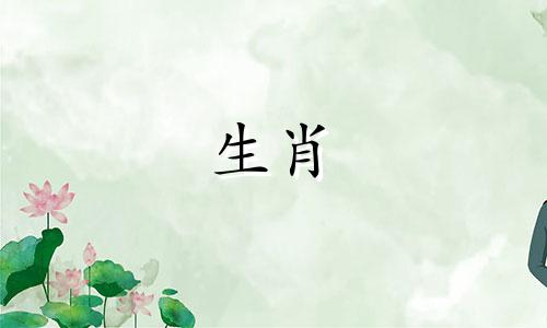 属马财运最好的年份是什么