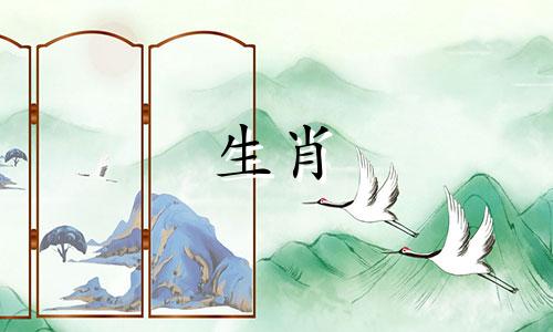 87年属兔男二婚会在哪一年结婚