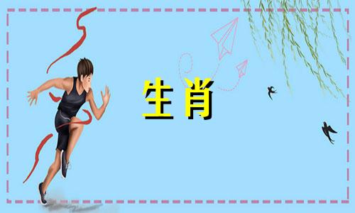 属兔人提升桃花运的方法有哪些?
