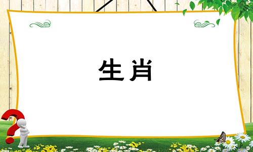 86年男虎82年女狗的婚姻怎么样呢