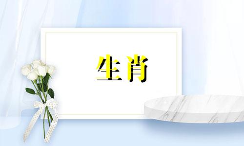 2025属牛的全年运势如何 1973属牛2025年的运势及运程
