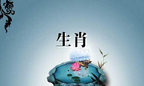 男羊女牛为何说是绝配 属牛和属羊其实是绝配