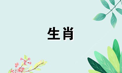 属鼠不能和什么生肖合作共事呢