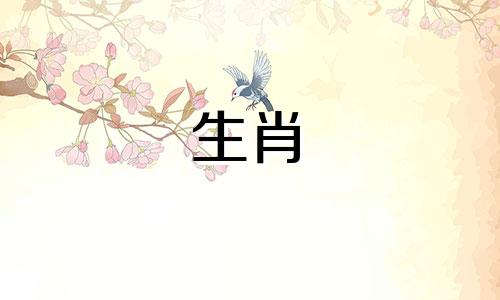 属龙最心疼哪个生肖女生 属龙的心软吗