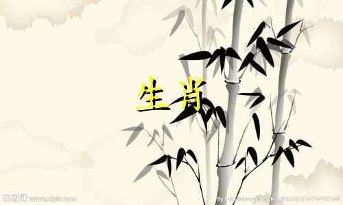 属蛇办公室座位朝向风水的布局