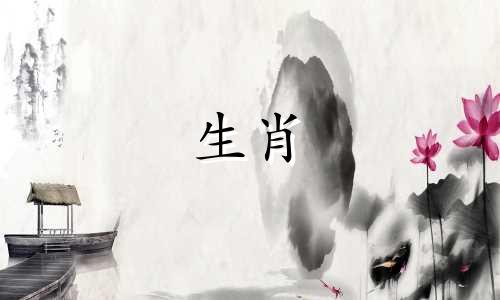 属牛的容易爱上什么属相的人