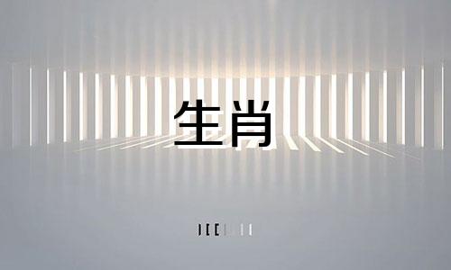 属鼠人适合什么行业,适合创业嘛