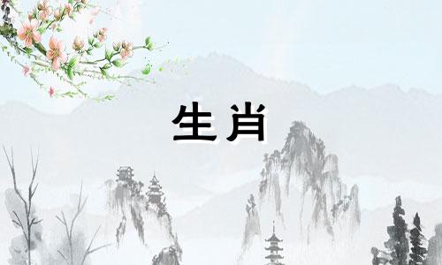 属蛇人2025年全年运势运程