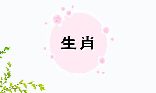 属兔人2025年家庭运势如何