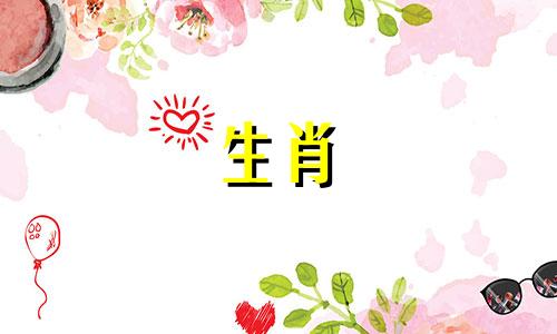 属狗人2025年家庭运势如何