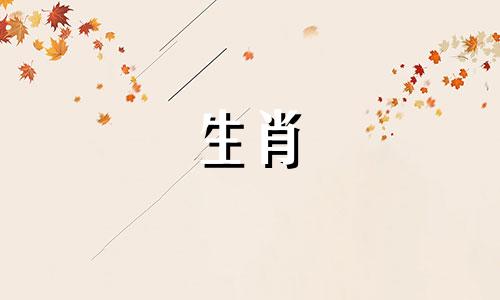 属马的在2025年的运势好不好呢