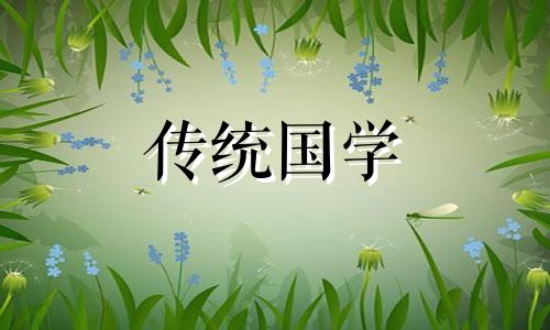 72年五行属水为何又是木命做生意选什么色系的搭配
