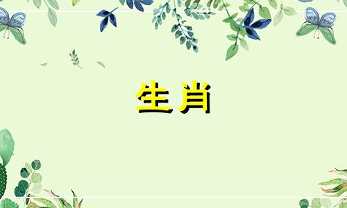 2025年属羊人的全年运势如何