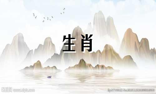 2025年属龙的人的全年运势