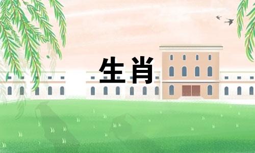 属猪2025年幸运色和忌色,属猪2025年的喜忌颜色一样吗