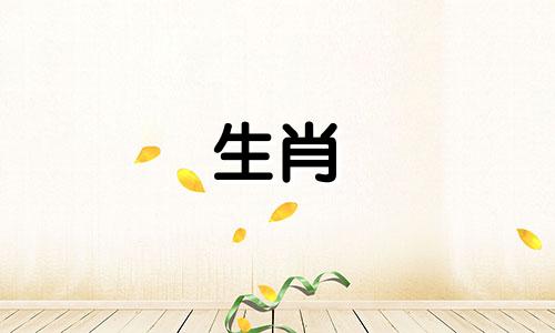 属龙2025年幸运色和忌色,属龙2025年的喜忌颜色相同吗