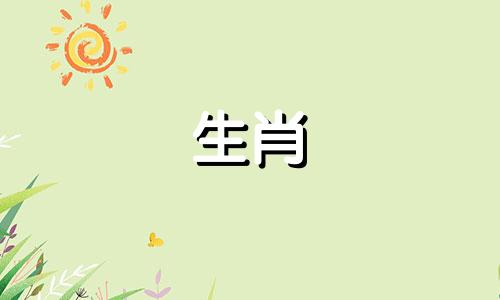 属龙人2025年家庭运势如何