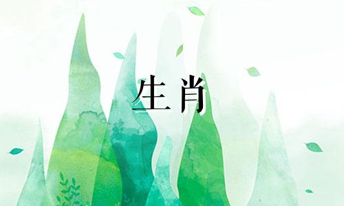 1990年属马人是什么命什么五行