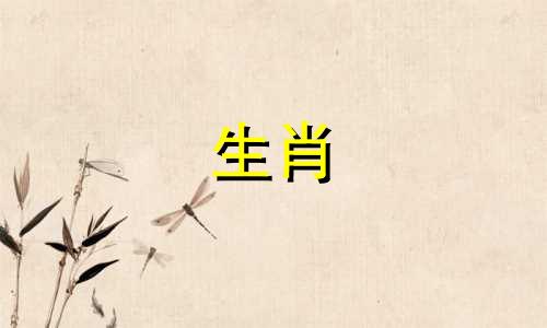 属猪最怕的三个生肖是什么